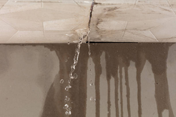 Professional Burst Pipe Cleanup technician working in University Center, VA